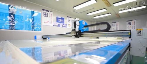 硬技术强韧性支撑民企海外突围，技术服务铸就全球竞争力