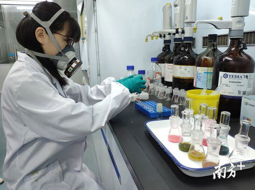 发挥技术优势，把好发展关 技术服务助力清远经济腾飞